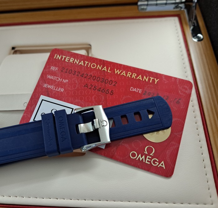 Omega Seamaster Diver 300M Co-Axial Wristwatch Ref. 210.32.42.20.03.002