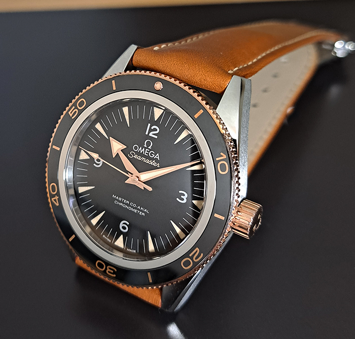 Omega Seamaster 300 Master Co-Axial Chronometer RG/SS  Ref. 233.22.41.21.01.002