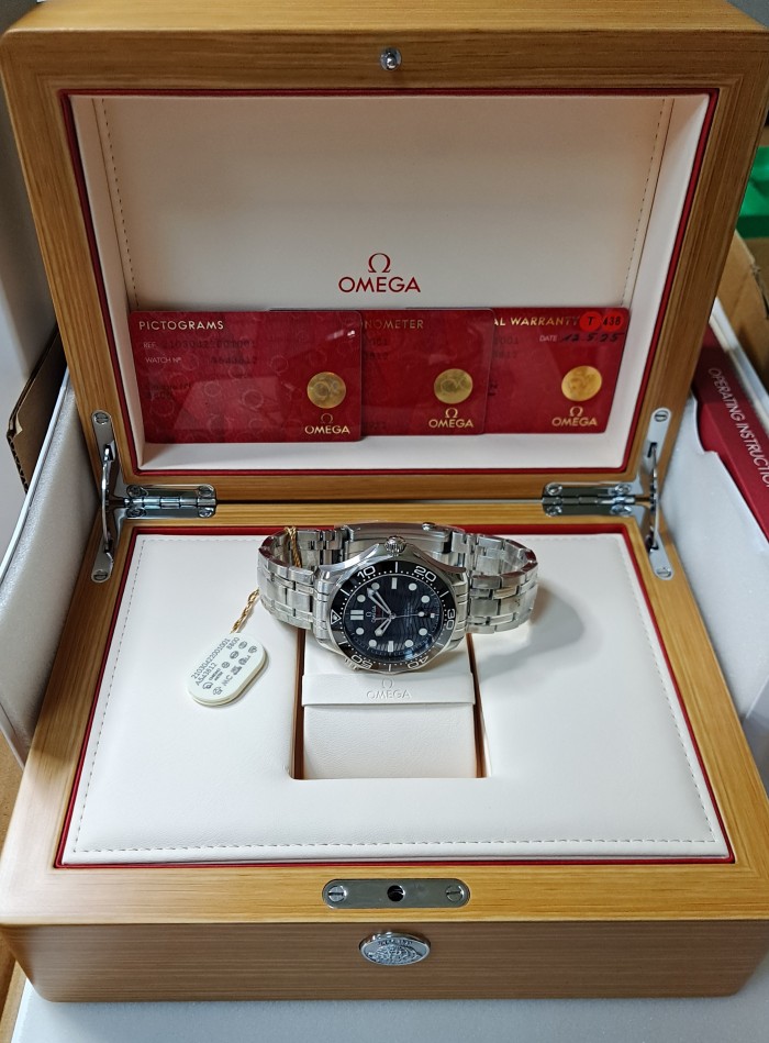 Omega Seamaster Diver 300M Co-Axial Wristwatch Ref. 210.30.42.20.01.001