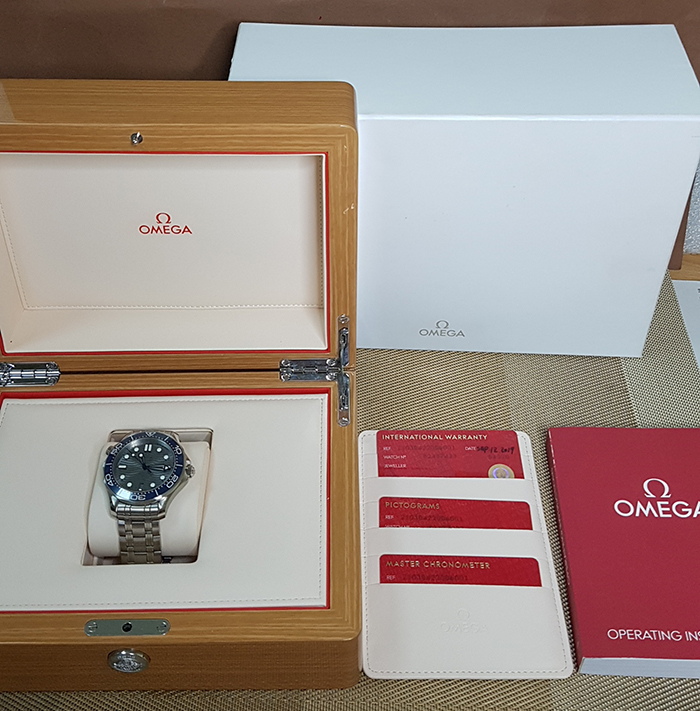 Omega Seamaster Professional Co-Axial Master Chronometer  Diver Wristwatch Ref. 210.30.42.20.06.001