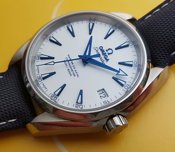 Omega Seamaster Aqua Terra Master Good Planet Co-Axial Wristwatch Ref. 231.92.39.21.04.001