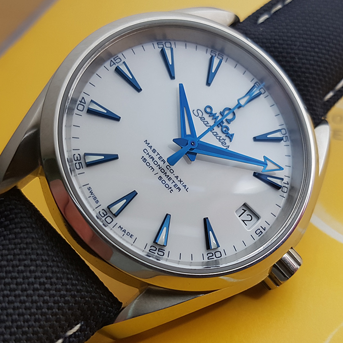 Omega Seamaster Aqua Terra Master Good Planet Co-Axial Wristwatch Ref. 231.92.39.21.04.001