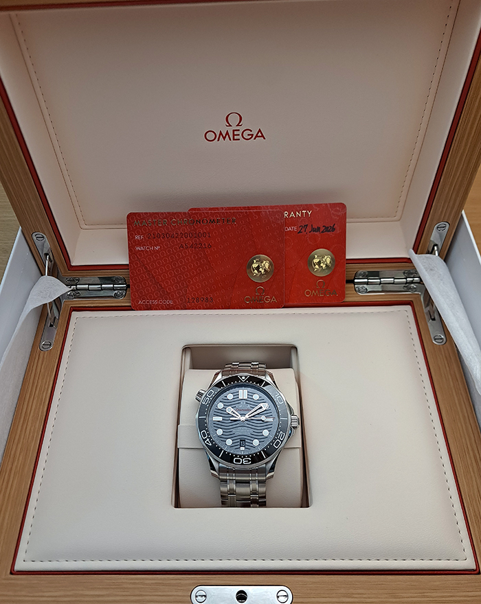 BLACK Omega Seamaster Diver 300M Co-Axial Wristwatch Ref. 210.30.42.20.01.001