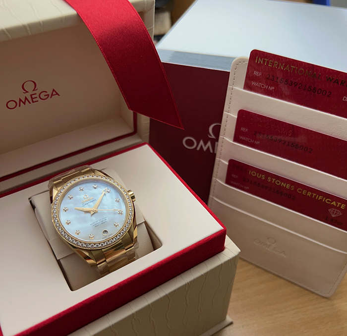 Omega Seamaster Aqua Terra 18K Yellow Gold & Diamond Bezel/Dial Wristwatch Ref. 231.55.39.21.55.002